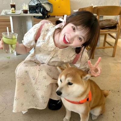 嫁给爱情 海报