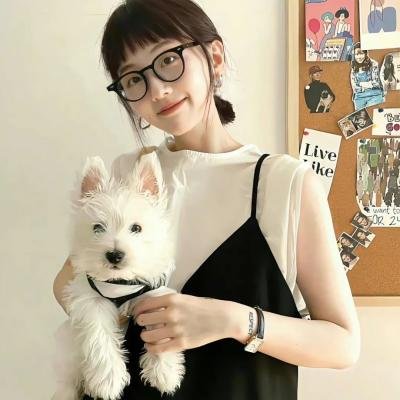 大案组 海报
